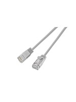 Slim Wirewin Câble patch: UTP, 1m, gris, Cat.6, AWG36, Klinkenschutz, rund, 2.8mm