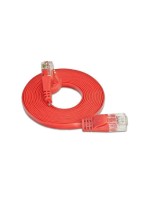 Wirewin Slim Câble patch: UTP, 0.15m, rouge , Cat.6, AWG36, Klinkenschutz, Längenaufdruck