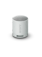 Sony Haut-parleur Bluetooth SRS-XB100 Gris