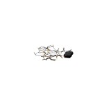 Star Trading Guirlande à LED Batterie, 40 LED, 280 cm, extérieur