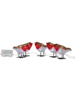 Star Trading Dekoration Crystalo Vögel Set, with LED KW, exkl. Battterie 3xAA, IP44