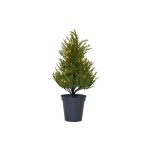 Star Trading Arbre Thuya, 0.55 m, Vert, 40 LED