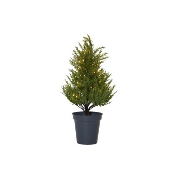 Star Trading Dekorativer Baum THUJA, with LED WW, IP44, 55cm Star Trading Dekorativer Baum THUJA, with LED WW, IP44, 55cm