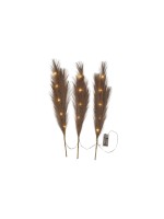 Star Trading Branche décorative Plumes Intérieur, brun, hauteur 65 cm