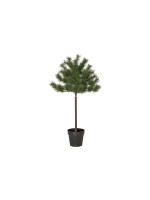 Weihnachtsbaum Tallis Indoor, Grün, 100cm