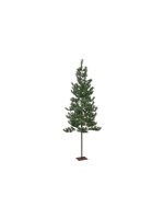 Weihnachtsbaum Tallis Indoor, Grün, 200cm