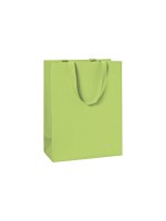 Stewo Sac cadeau One Couleur 23 x 13 x 30 cm, Vert clair