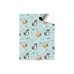 Stewo Papier cadeau Matz 1 Pièce/s, Menthe/Orange, 70 cm x 2 m