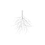 STT Branche suspendue, 50 cm, blanc