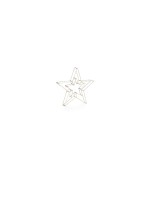 STT LED 3D Double Star Argento 38cm, 280LED ww, D38cm, silver