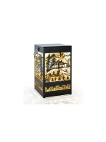 STT Recharge USB Lanterne Edelweiss, 1LED, ww, 15x24.5cm, Timer 6/18