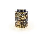 STT LED Recharge USB Laterne Aura swiss, 51 LED, ww, 21.5x30cm, Timer 6/18