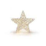 STT Gold standing star, 35 Blanc chaud