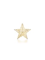 STT Glamour hanging star, 50 Blanc chaud