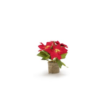 STT LED Poinsettia 24, 15LED ww, 15x24cm, exkl. 3xAAA, Timer 6/18 STT LED Poinsettia 24, 15LED ww, 15x24cm, exkl. 3xAAA, Timer 6/18