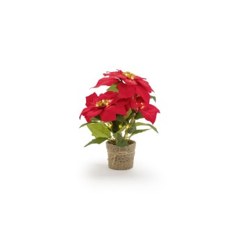 STT LED Poinsettia 33, 27LED ww, 18x33cm, exkl. 3xAAA, Timer 6/18 STT LED Poinsettia 33, 27LED ww, 18x33cm, exkl. 3xAAA, Timer 6/18