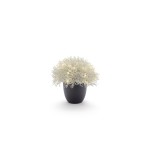 STT Arbre Calo 27