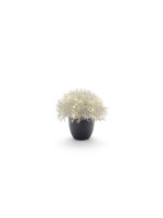 STT Arbre Calo 27