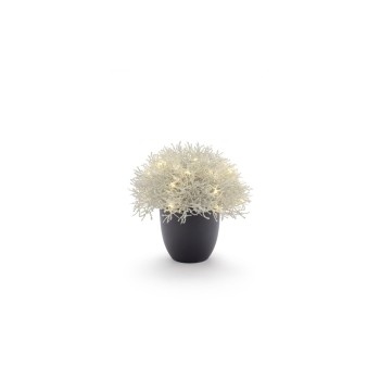 STT Arbre Calo 27 STT Arbre Calo 27