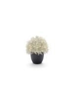 STT Arbre Calo 35