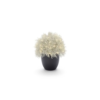 STT Arbre Calo 35 STT Arbre Calo 35