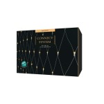 STT Filet lumineux Systèmes Starterkit Connect 160 LED, 2 x 2 m