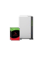 Synology DS223j, 2-bay NAS, with 2x 2TB HDD Seagate IronWolf