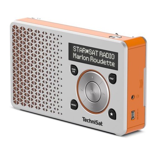 Technisat DigitRadio 1 Orange