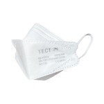 TECT Respirateur FFP2, 10 pièces