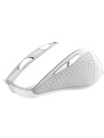 Trust Souris Nito White