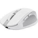 Trust mouse Ozaa Multiconnect white, USB 2.4 Ghz, Bluetooth
