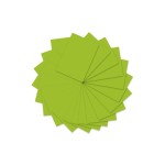 URSUS Papier coloré A4, 130 g/m², 100 feuilles, vert clair