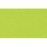 URSUS Papier coloré 50 x 70 cm, 130 g/m², 10 feuilles, vert clair