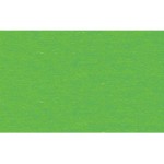 URSUS Papier cartonné 50 x 70 cm herbe verte