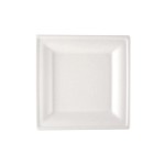 Verive Assiettes jetables 16 x 16 cm 50 Pièce/s