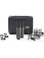 Warm Audio WA-87 R2 TS Ensemble stéréo Titanium