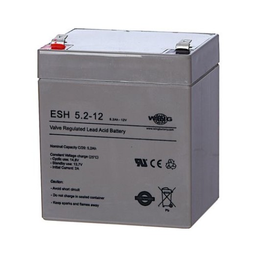 WING Batterie de rechange ESH 5.2-12