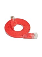 Wirewin Slim Câble patch: UTP, 0.25m, rouge , Cat.6, AWG36, Klinkenschutz, Längenaufdruck