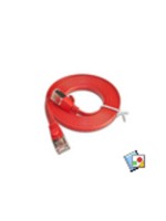 Wirewin Slim Câble patch: STP, 0.25m, rouge , Cat.6, AWG36, Klinkenschutz, Längenaufdruck