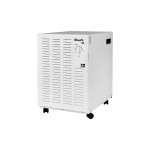 Wood's Déshumidificateur SW-20FW (90 m²)