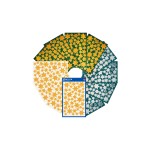 Avery Zweckform Autocollant à motif Étoiles de Noël 1 Pièce/s, Doré/Argenté