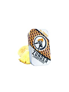 Zunder Zahnstocher Cure-dents Boîte à cure-dents Tropic 80 Pièce/s Zunder Zahnstocher Cure-dents Boîte à cure-dents Tropic 80 Pièce/s