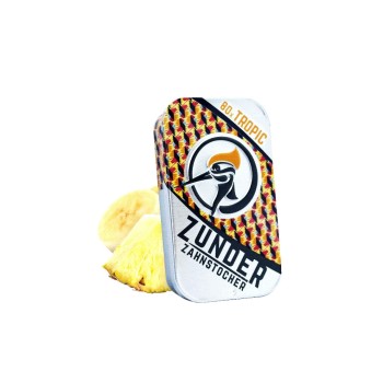 Zunder Zahnstocher Cure-dents Boîte à cure-dents Tropic 80 Pièce/s Zunder Zahnstocher Cure-dents Boîte à cure-dents Tropic 80 Pièce/s