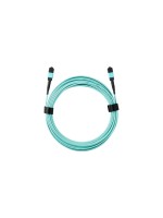Zyxel Câble patch à fibre optique MTP MTP/MPO 12 fibres, OM3, 12 fibres, 10 m